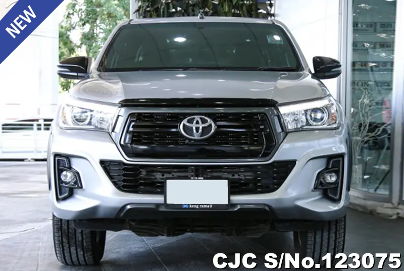 Toyota Hilux in Gray for Sale Image 2