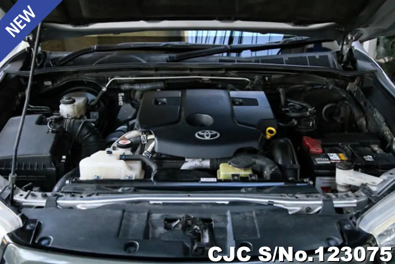 Toyota Hilux in Gray for Sale Image 11