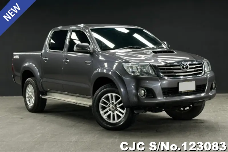 Toyota Hilux in Gray for Sale Image 0