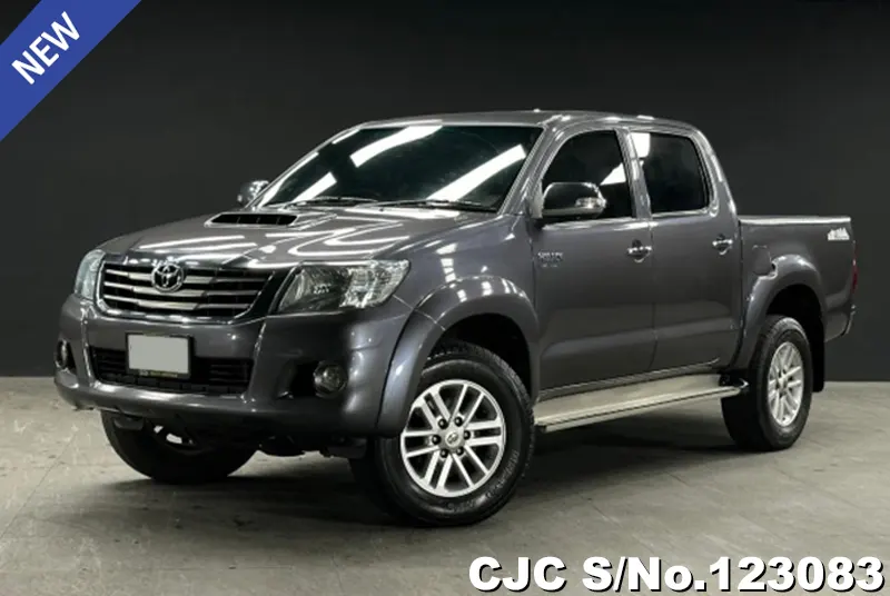 Toyota Hilux in Gray for Sale Image 3
