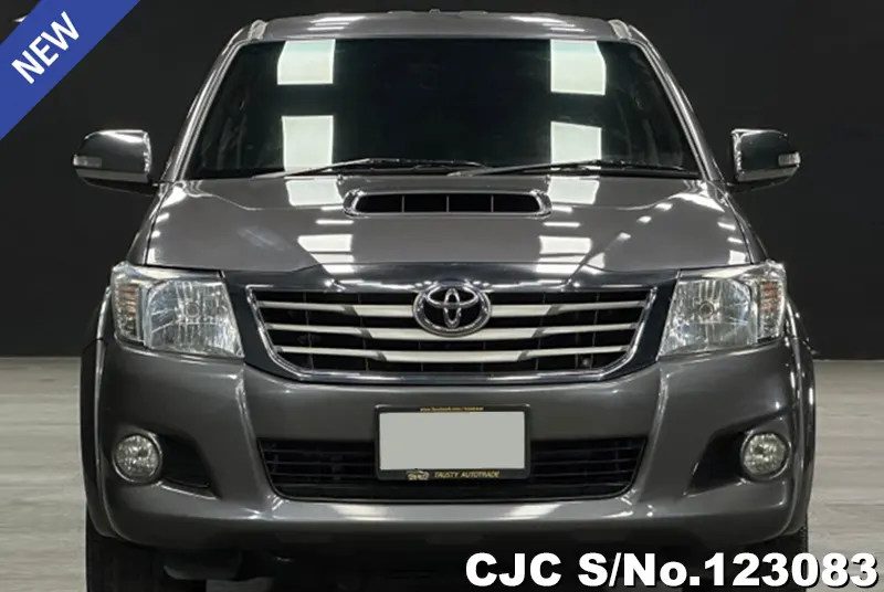 Toyota Hilux in Gray for Sale Image 4