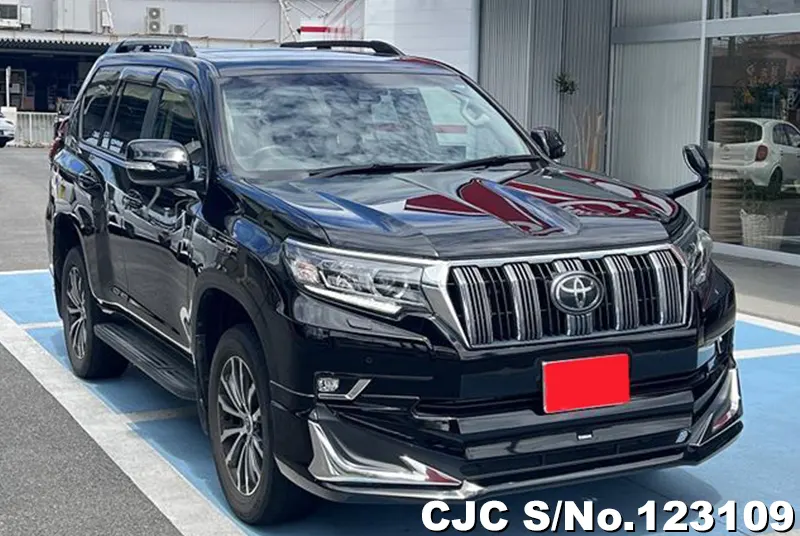 Toyota / Land Cruiser Prado 2019