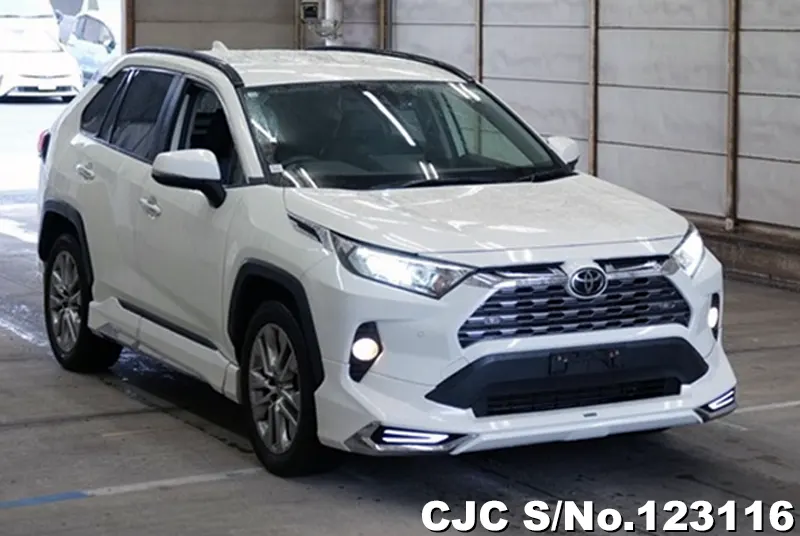 Toyota / Rav4 2020
