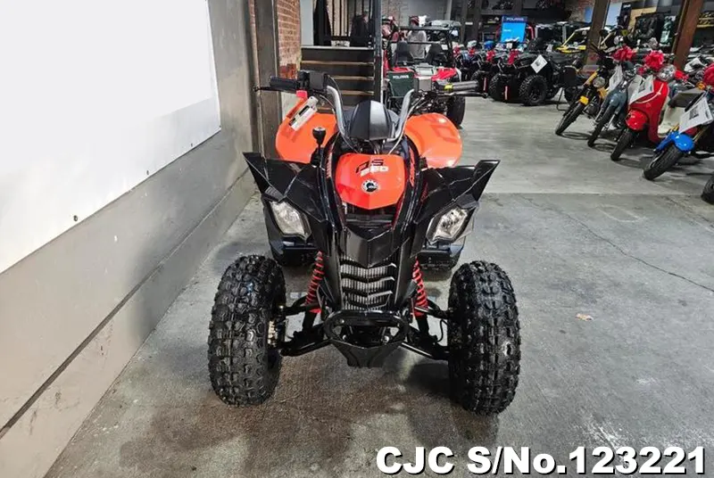 2026 Can-Am / DS 250 Stock No. 123221
