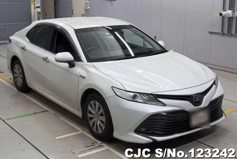 Toyota / Camry 2019