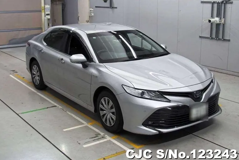 Toyota / Camry 2019