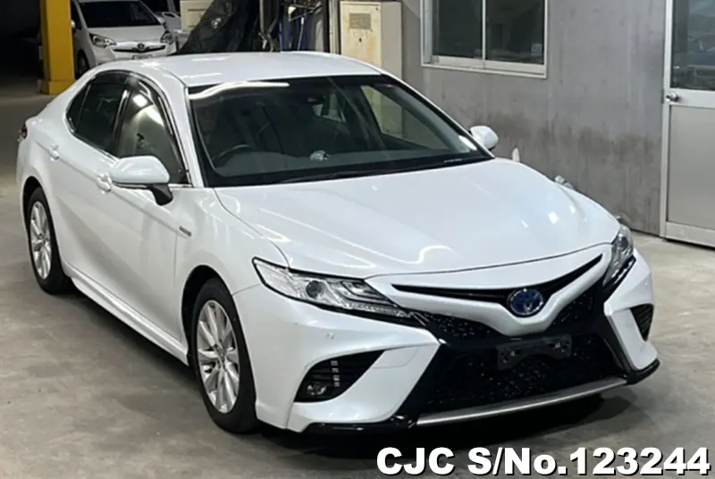 Toyota / Camry 2019
