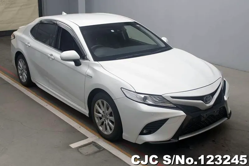 Toyota / Camry 2019
