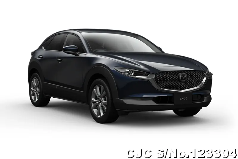 Mazda / CX-30 2025