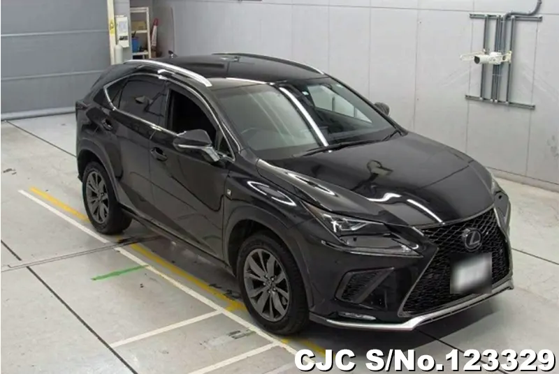 Lexus / NX 200 2018