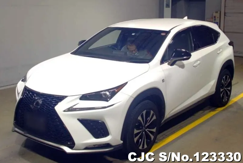 Lexus / NX 300 2019