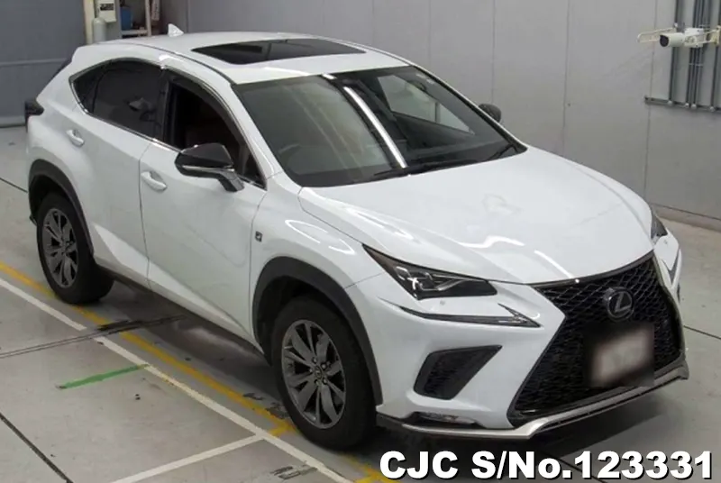 Lexus / NX 300 2019