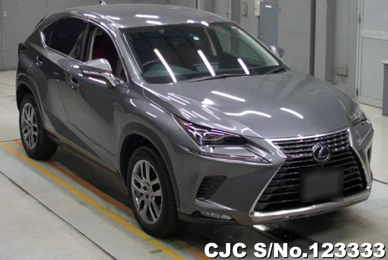 Lexus / NX 300h 2019