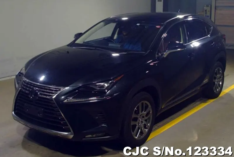 Lexus / NX 300h 2019