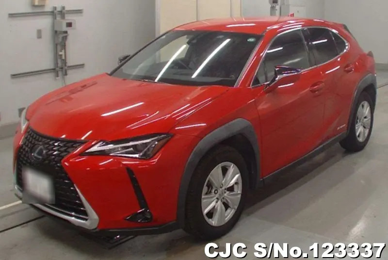 Lexus / UX 250H 2019