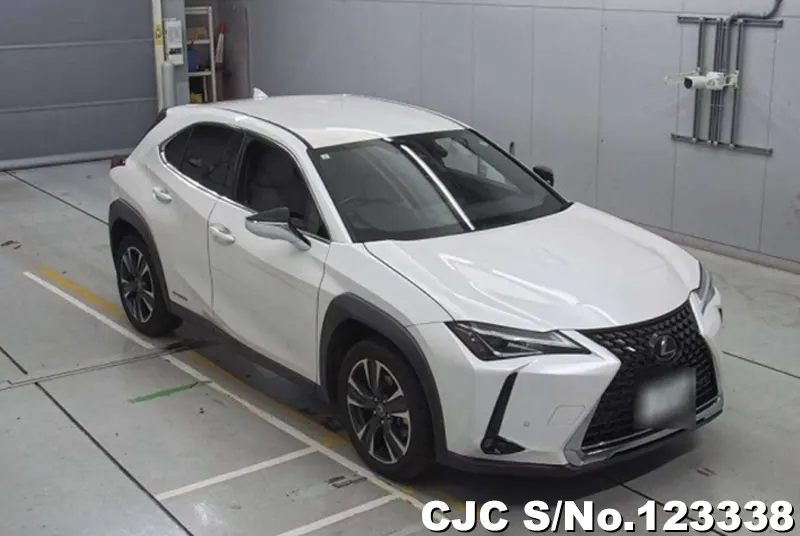 Lexus / UX 250H 2019