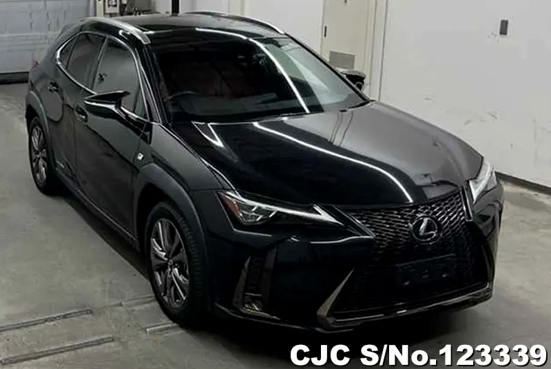 Lexus / UX 250H 2019