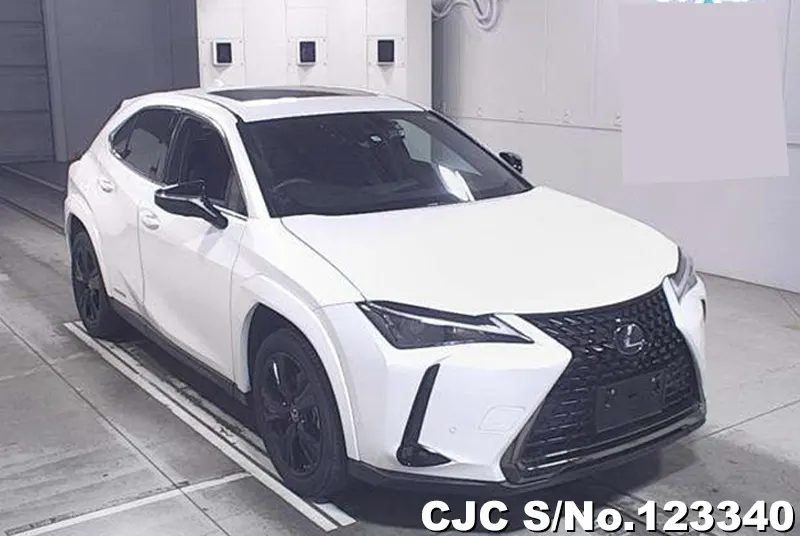 Lexus / UX 250H 2021