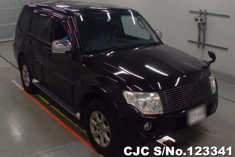 Mitsubishi / Pajero 2014