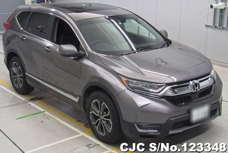 Honda / CRV 2022