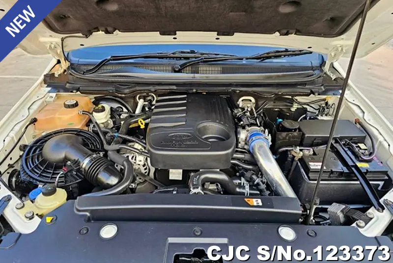 Ford Ranger in White for Sale Image 11