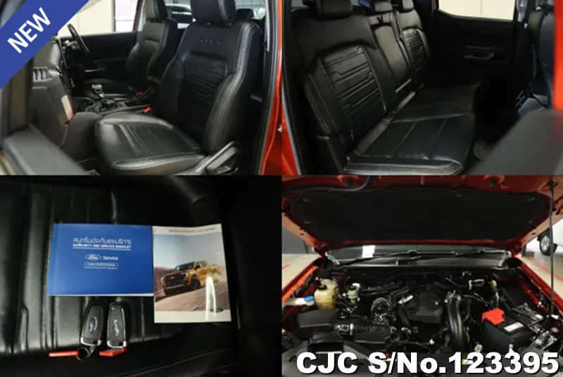 Ford Ranger in Orange for Sale Image 6