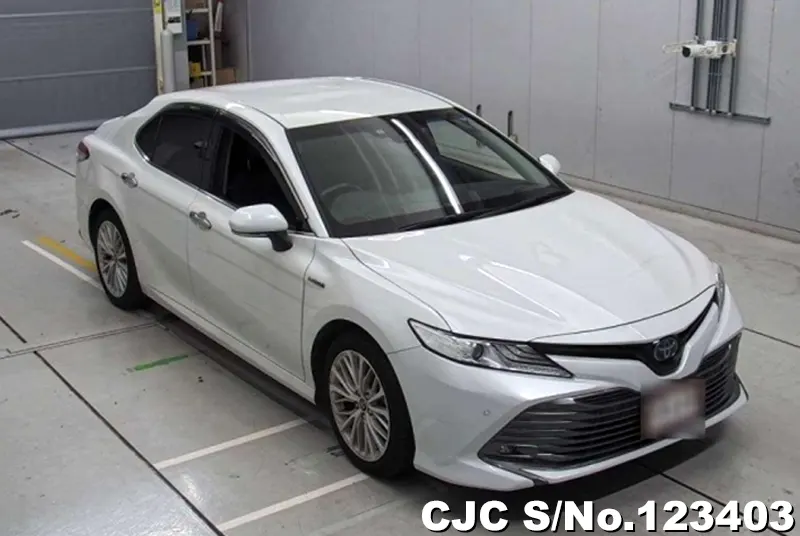 Toyota / Camry 2019