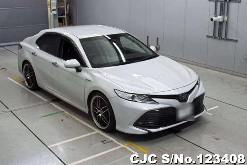 Toyota / Camry 2019