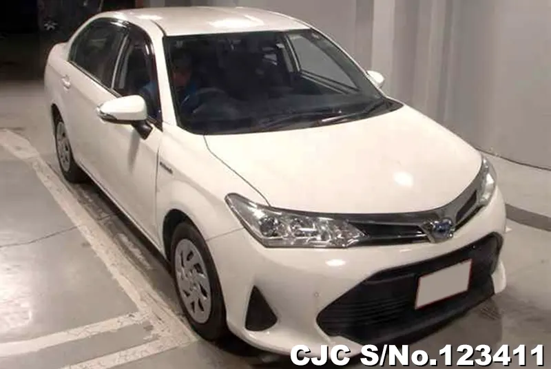 Toyota / Corolla Axio 2019