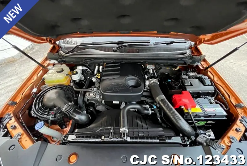 Ford Ranger in Orange for Sale Image 14