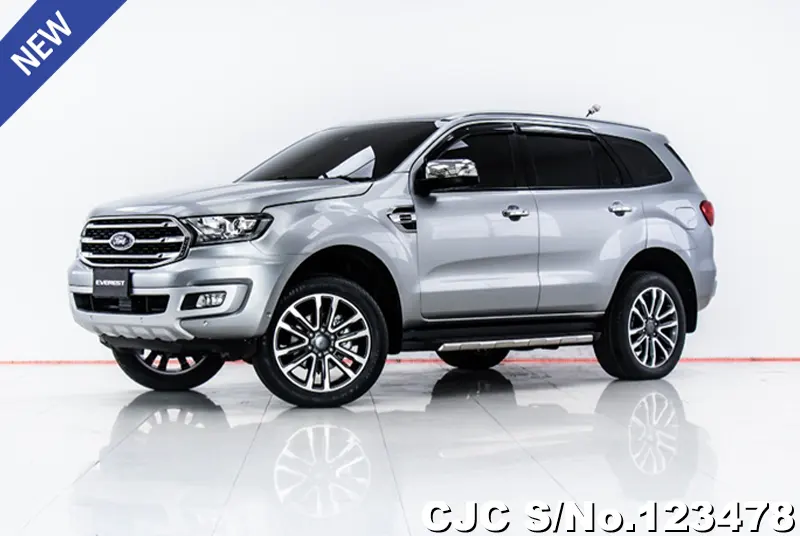 Ford Everest in Gray for Sale Image 2