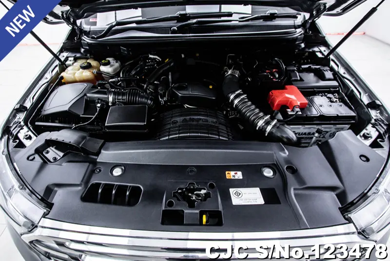 Ford Everest in Gray for Sale Image 10