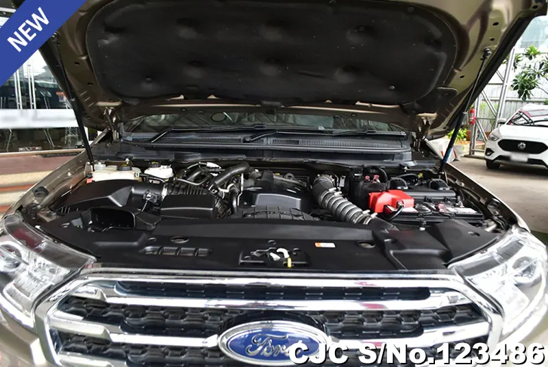 Ford Everest in Sugar for Sale Image 12