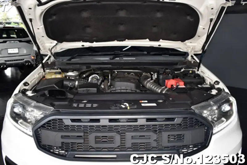 Ford Everest in White for Sale Image 11