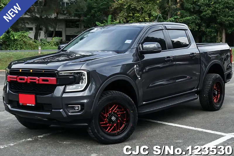 Ford Ranger in Gray for Sale Image 3