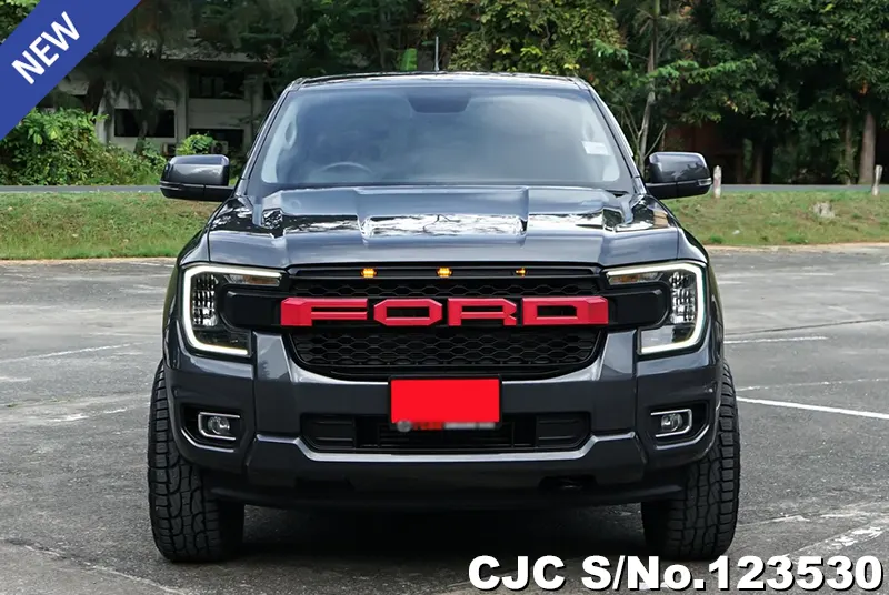 Ford Ranger in Gray for Sale Image 4
