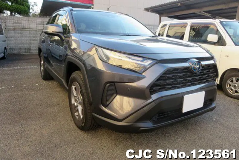 Toyota / Rav4 2024