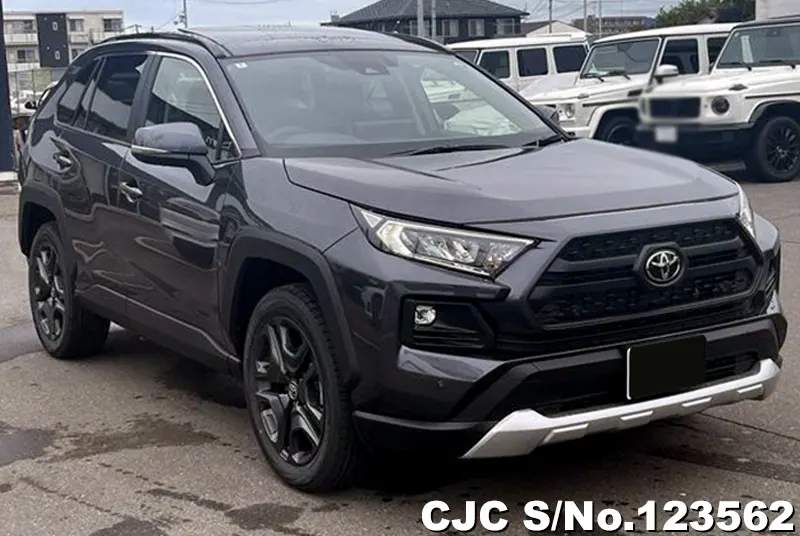 Toyota / Rav4 2024