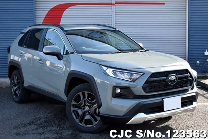 Toyota / Rav4 2024
