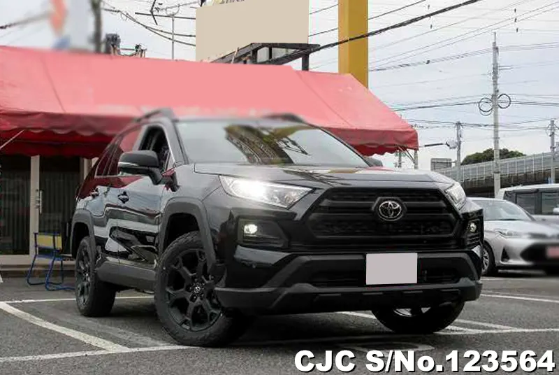 Toyota / Rav4 2024