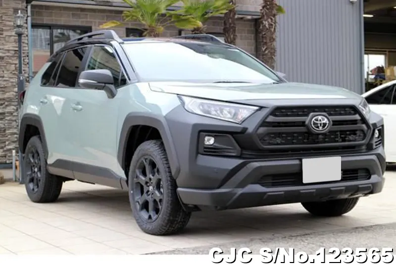 Toyota / Rav4 2024