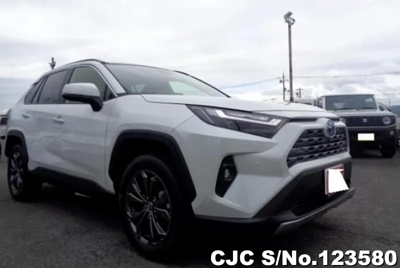 Toyota / Rav4 2024