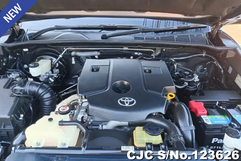 Toyota Hilux in Gray for Sale Image 11