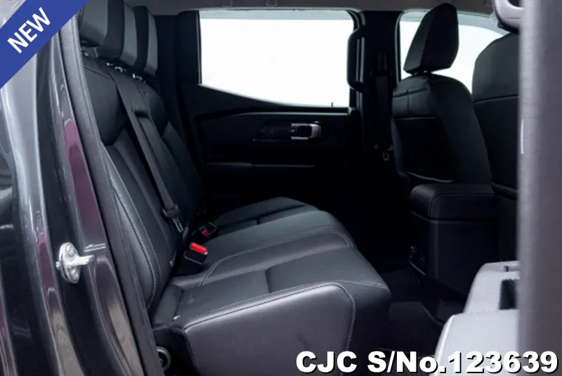 Mitsubishi Triton in Gray for Sale Image 6