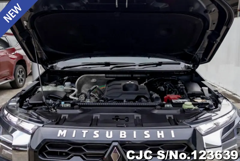 Mitsubishi Triton in Gray for Sale Image 10