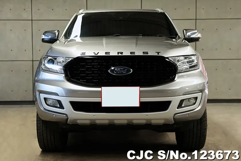 Ford Everest in Silver for Sale Image 2