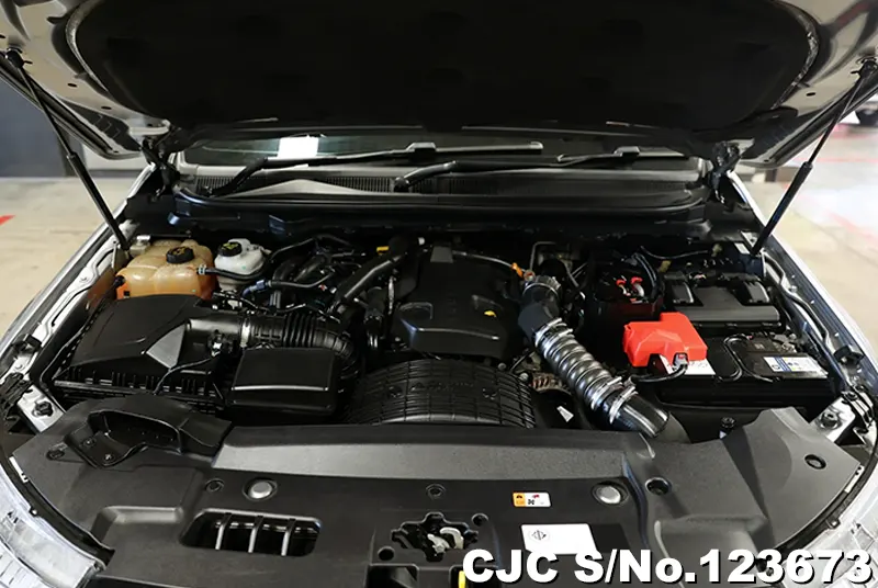 Ford Everest in Silver for Sale Image 14
