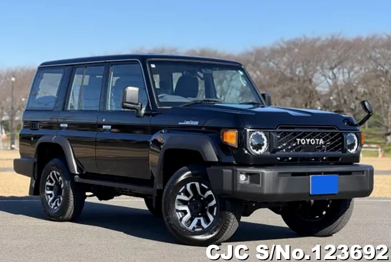 Toyota / Land Cruiser 2024