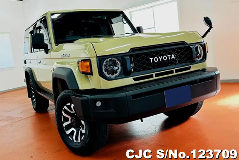 Toyota / Land Cruiser 2024