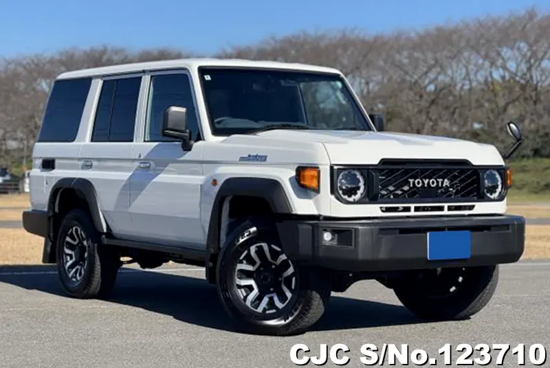 Toyota / Land Cruiser 2024